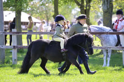 80 M&M Winter Final Lead Rein