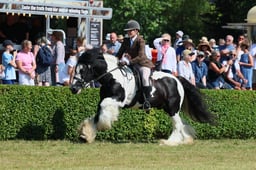 S61_0832 2026