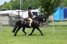 12-10 RIHS SSADL Ridden Championship