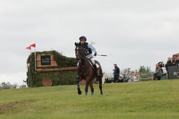 E39_3311 2026