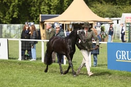 E31_0501 2026