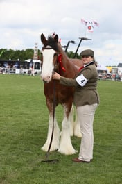 E36_2010 2026