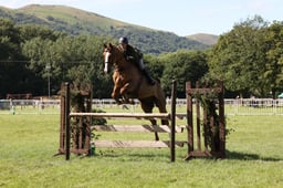 H113 HOYS Open Working Hunter