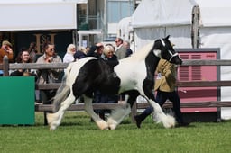 S28_8395 2026