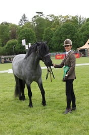 W29_0704 2026