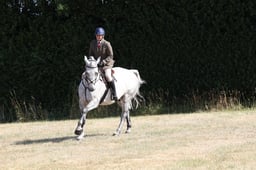 E60_0533 2026