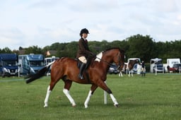 E36_0383 2026
