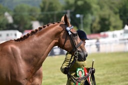 RoR Championship