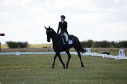 B16_0372 2026