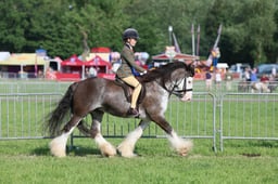 C34_0463 2026
