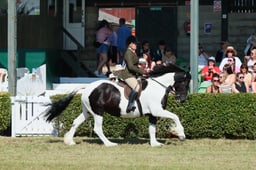 S61_0750 2026