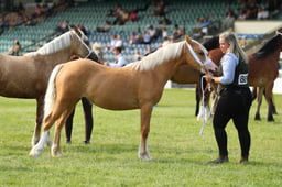 E69_0885 2026
