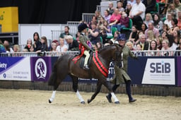 Lead Rein of Hunter Type of the Year Championship