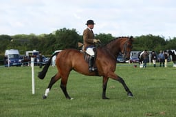 E36_0446 2026