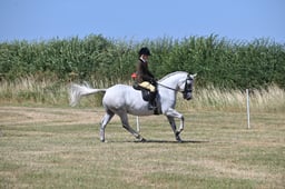 S60_0540 2026