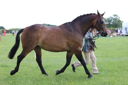 J36_6957 2026