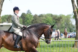 41 RIHS Ridden Cob Maxi
