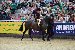 Show Pony Lead Rein of the Year