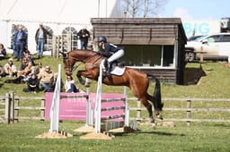 652 IZILOT DHI