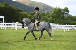 CLH12 Ridden Welsh A