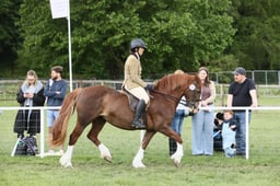 E31_1506 2026