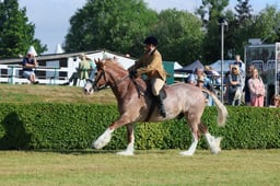 S61_0203 2026