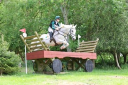 148 Vanbeek Masquerade
