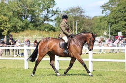 H126-125 RIDDEN ID CHAMPIONSHIP