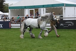 W29_0905 2026