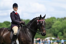 20 HOYS Ridden Large Hack
