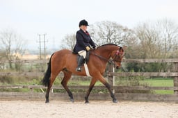 Class 119 Tattersalls RoR Open