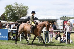 E31_2605 2026