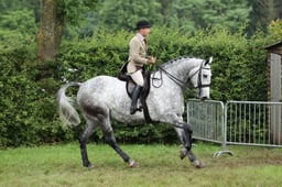 23 HOYS Middleweight Hunter