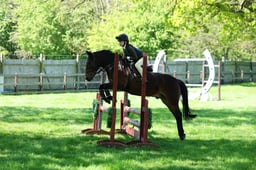 M19_0457 2026
