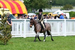 F33_0608 2026