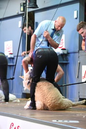 Shearing