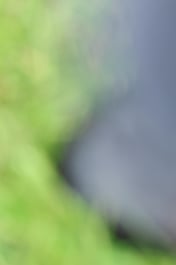 H44_1790 2026