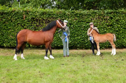 F45_0507 2026