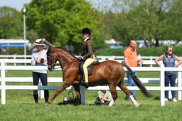 H19_0841 2026