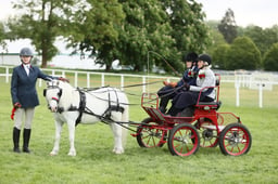 E29_1498 2026