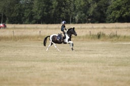B57_6509 2026