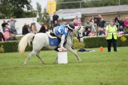 Pony Club Games