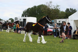 E36_0925 2026