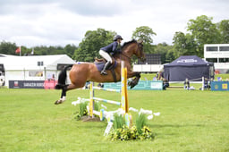 N40_5524 2026