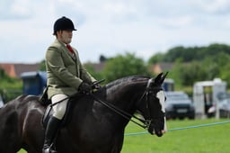 06 Novice Ridden Cob