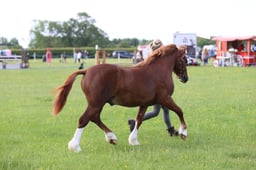 J36_5534 2026
