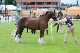 C45_2009 2026
