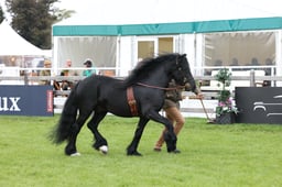W29_0929 2026