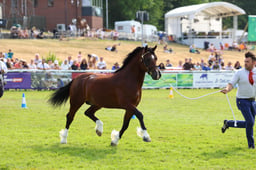 E69_1036 2026