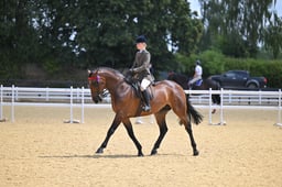 A66_1984 2026